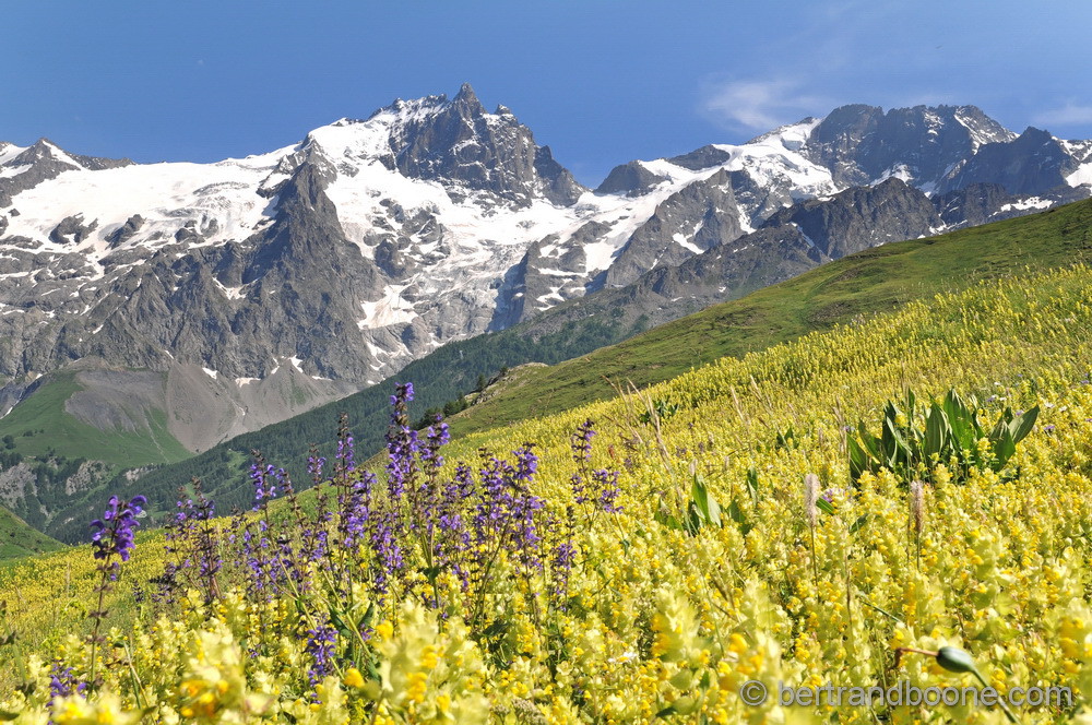 La Meije et le Rateau - 05 - Fr