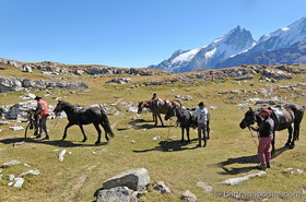 Cheval sur plateau d'Emparis