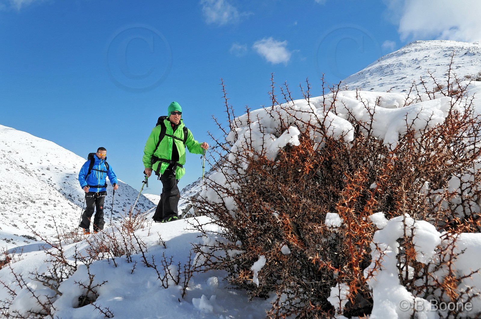 130131-008 © B.Boone