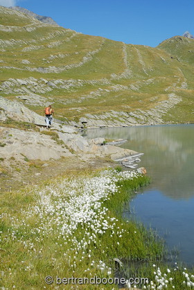 lac du goleon