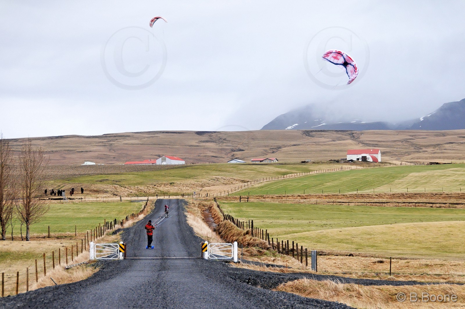 120325-018 © B.Boone