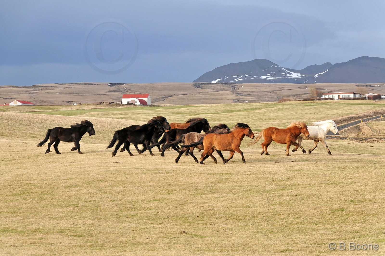 120324-097 © B.Boone