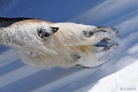 La route des vents 2012 - lac Mistassini - Québec