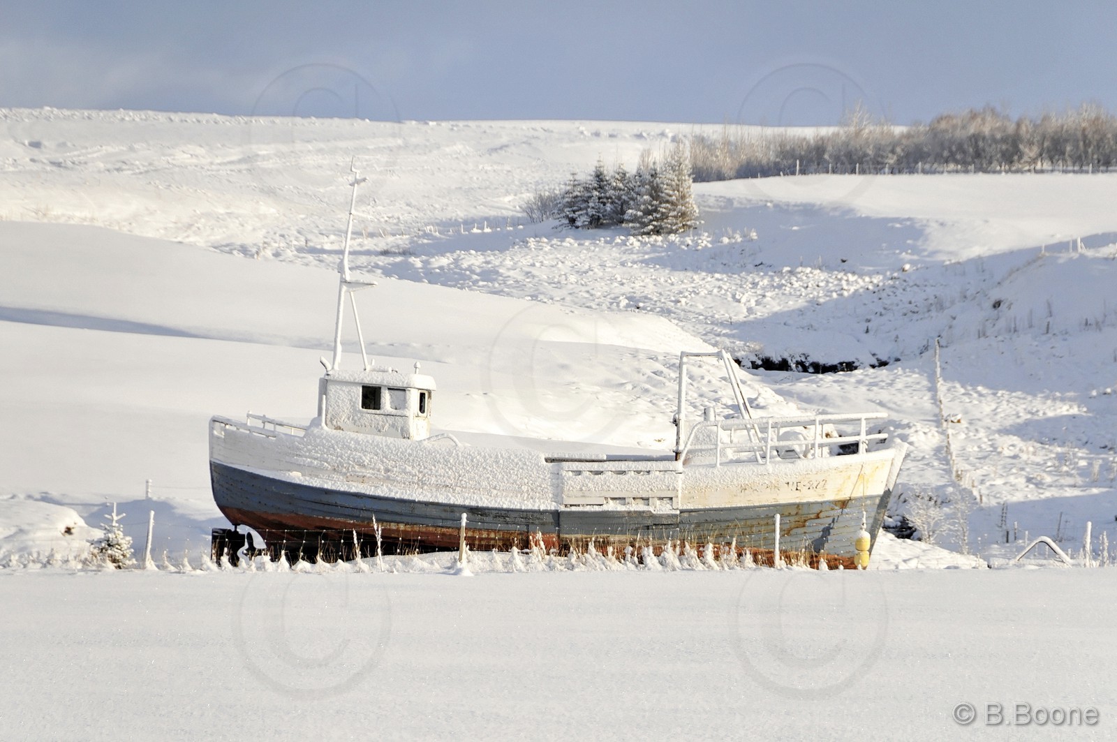 120317-003 © B.Boone