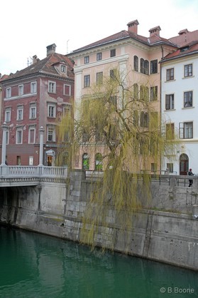 snowkite en Slovénie