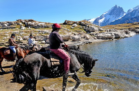 Cheval sur plateau d'Emparis