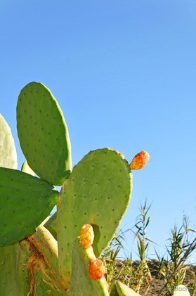 Trip Snowkite - Kitesurf en Crête (GR).