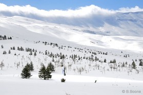 Johann Civel - snowkite au Liban