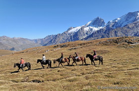Cheval sur plateau d'Emparis