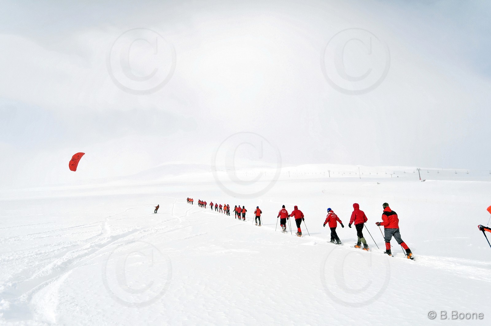 120226-0790©B.Boone