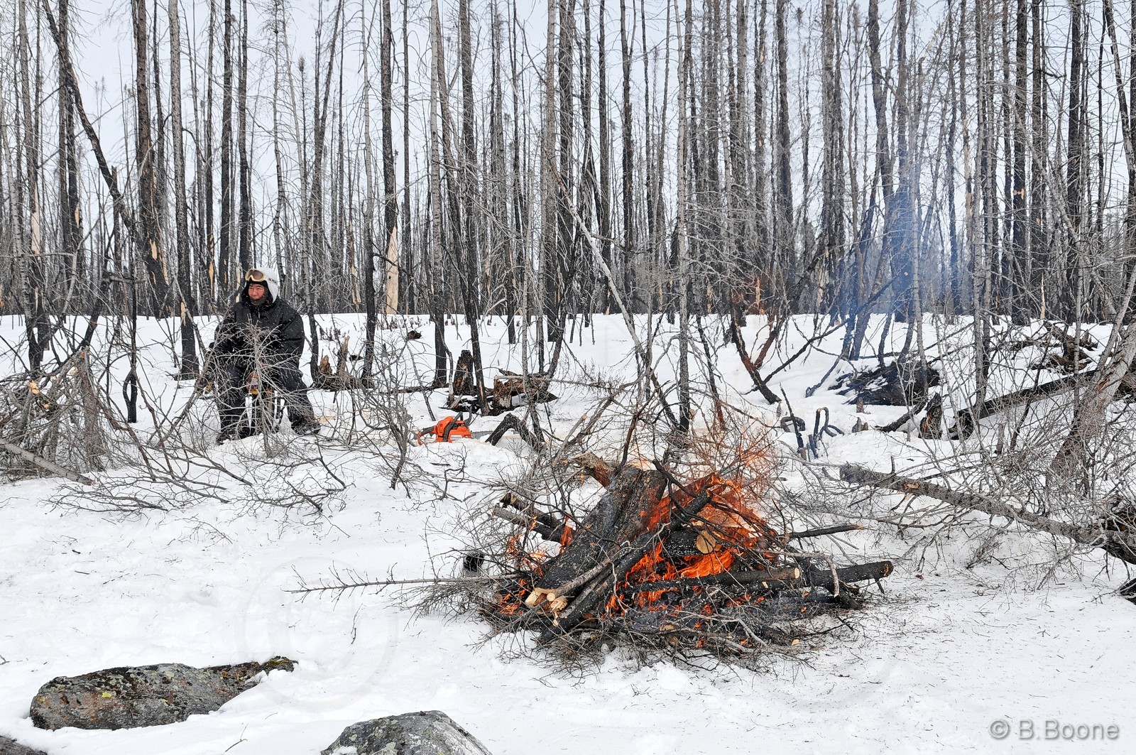 120404-342 © B.Boone