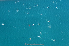 lac de serre-ponçon - hautes alpes - Fr