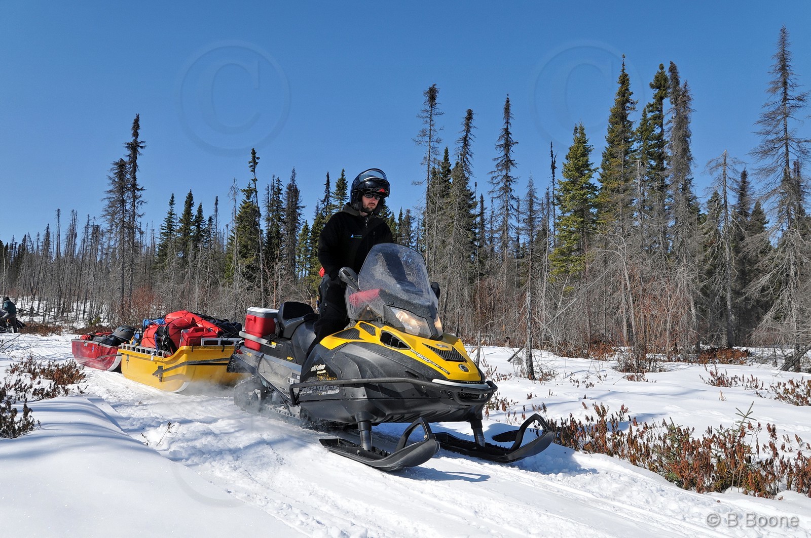 120401-0078 © B.Boone