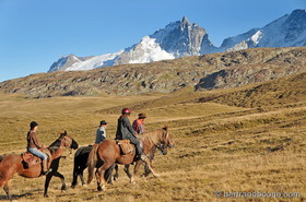 Cheval sur plateau d'Emparis