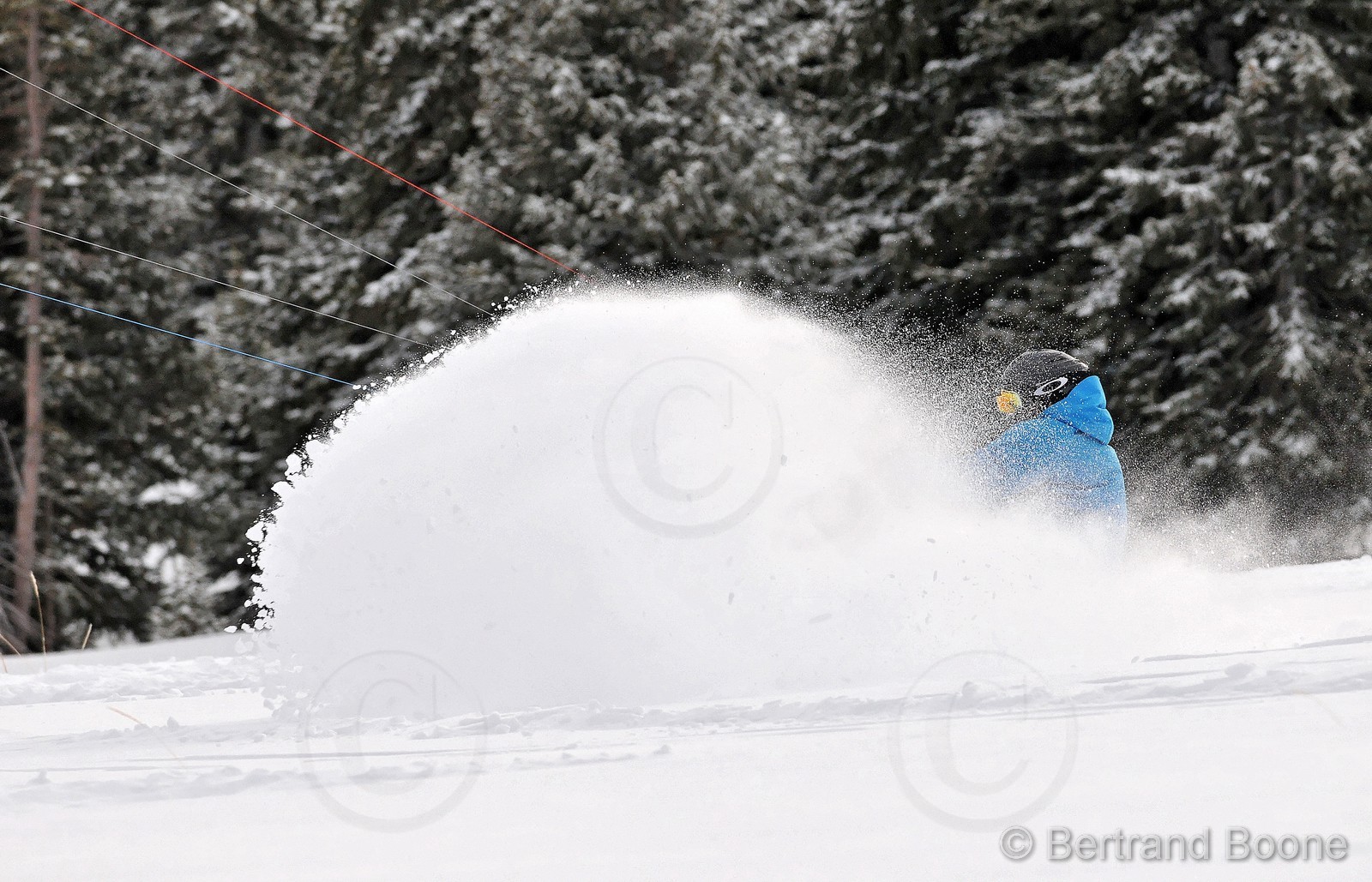 131202-273© B.Boone