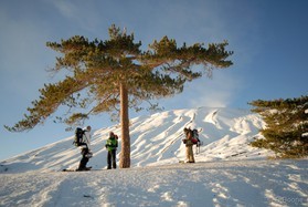 Fabio Ingrosso+Mathieu Blanchard+ Xevi Carrasco