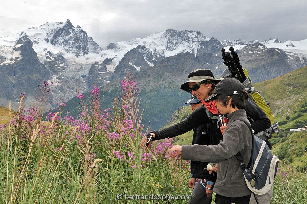 Rando Découverte au pays de La Meije