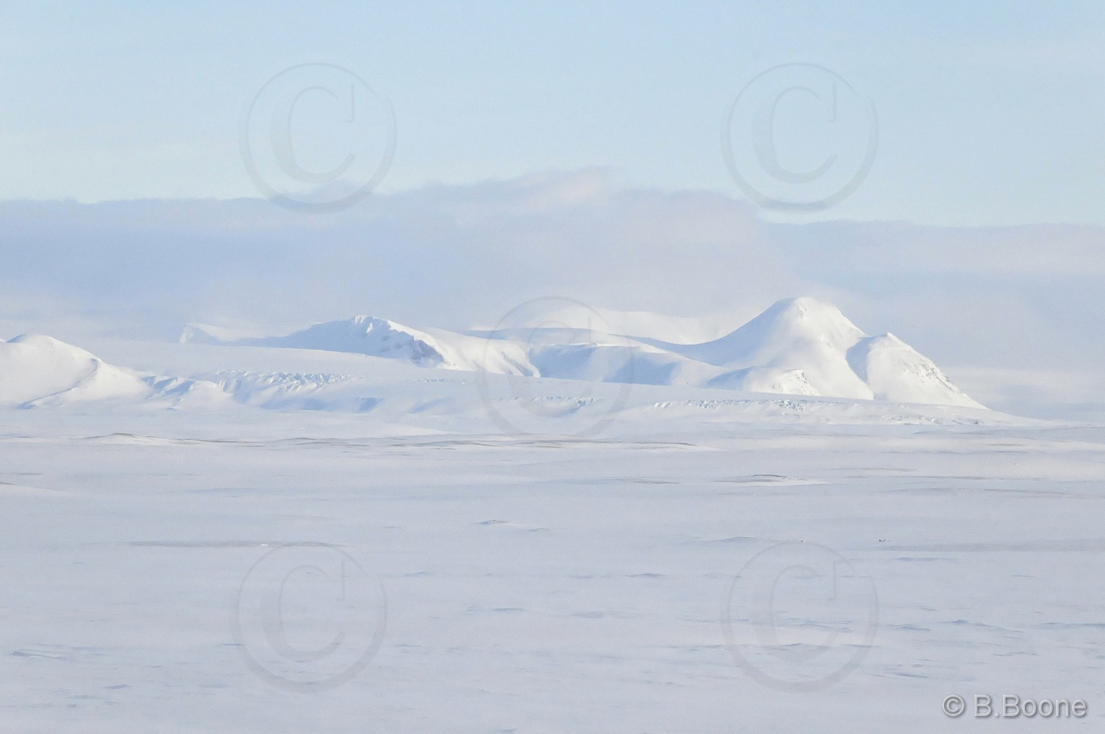 120315-012 © B.Boone