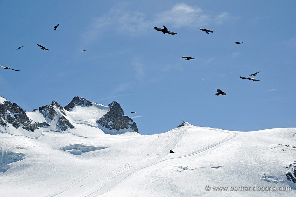 pic de la grave et glacier de la girose (05) FR