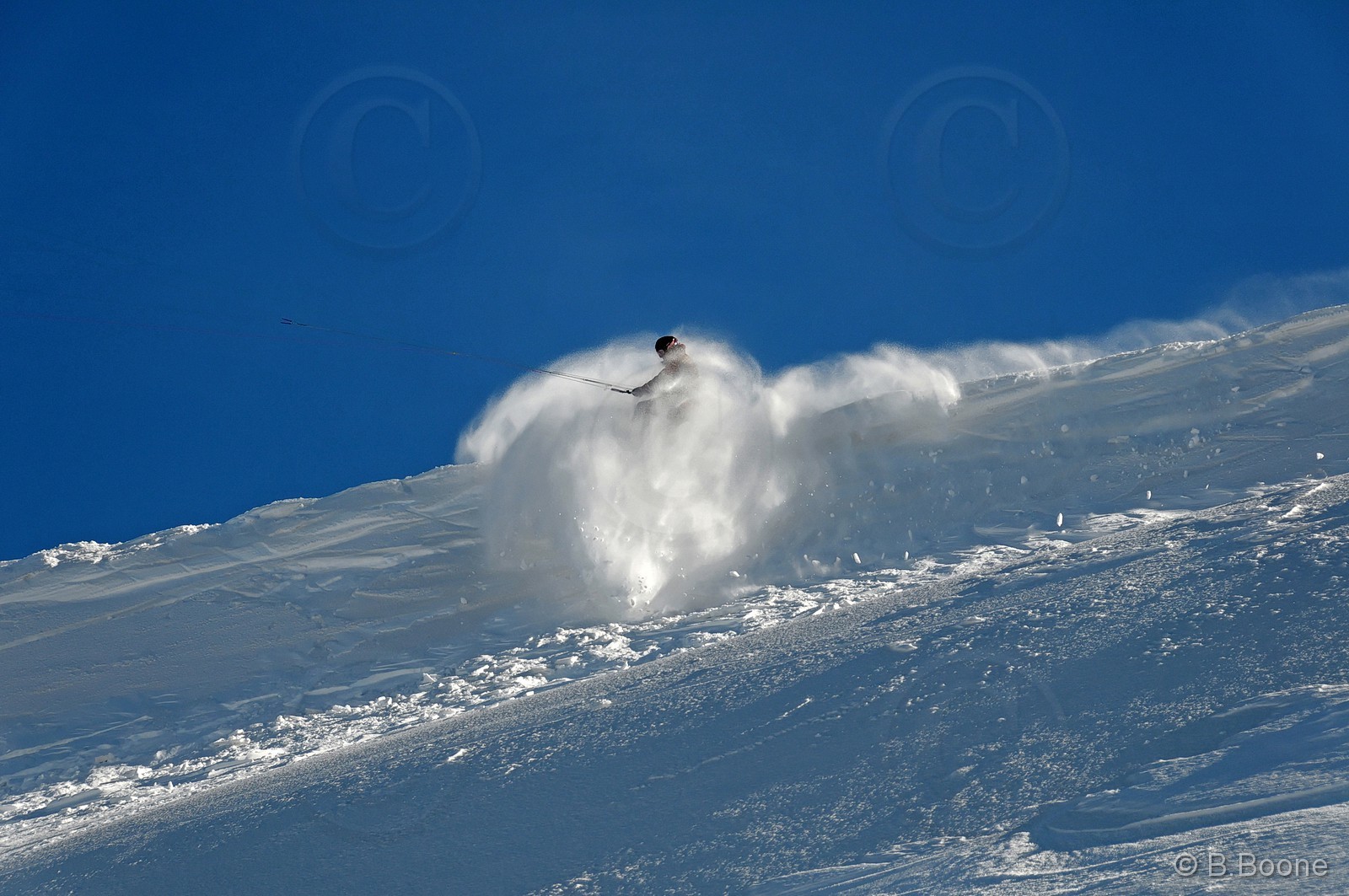 100321-0793©B.Boone