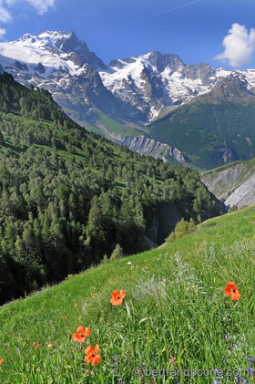 La Meije et Le Rateau - 05 - Fr