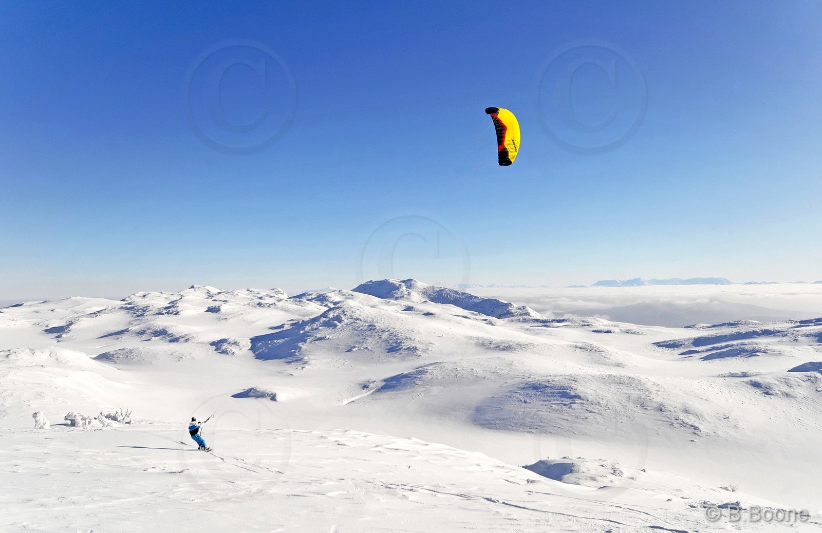 120123-1038©B.Boone